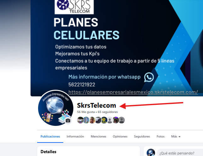 seguidores skrstelecom